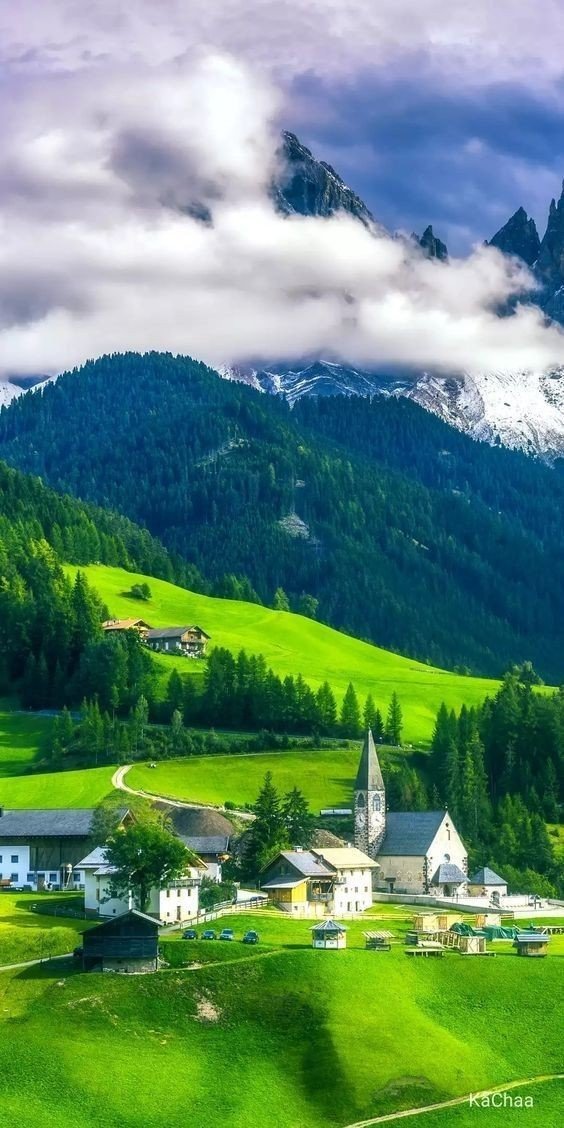 💚
Good day friends 

#nature #photography