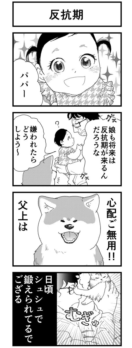 「シュシュちゃん」
「反抗期」

#4コマ漫画
#猫 #ソマリ #秋田犬 