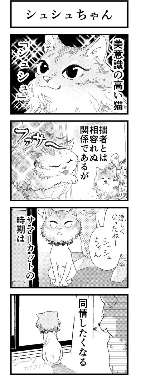 「シュシュちゃん」
「反抗期」

#4コマ漫画
#猫 #ソマリ #秋田犬 