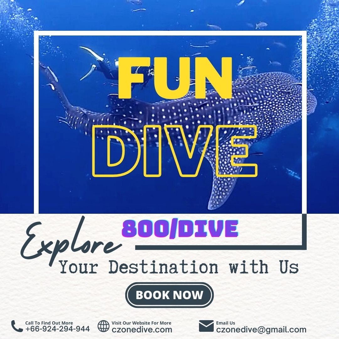 CZONEDIVER's tweet photo. #kohtao #CZONE #scuba #padi https://t.co/t4Zsx8BzM5
