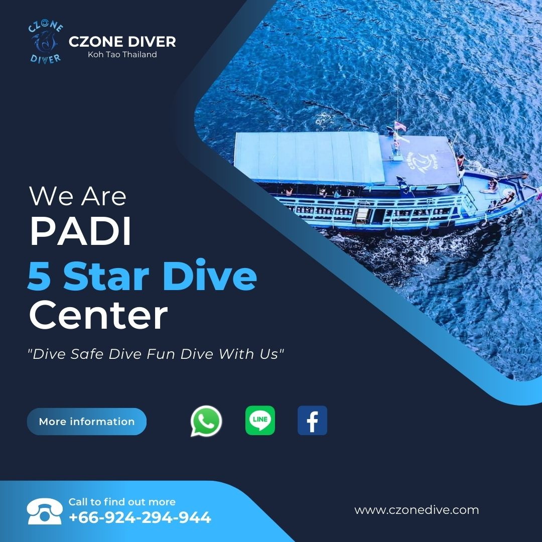 CZONEDIVER's tweet photo. #kohtao #CZONE #scuba #padi https://t.co/7lpS6Venkk