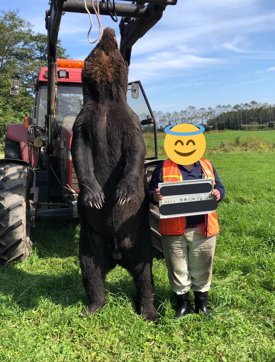 北海道の農家さんが仕留めたヒグマ。サイズがヤバい！