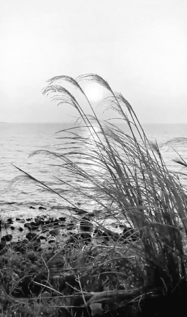 Perfect Pixels tweet media