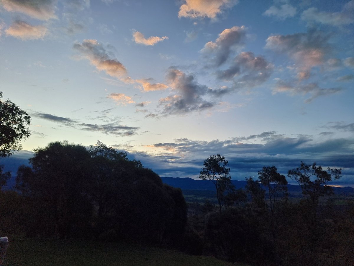 Alexandra Fowler tweet media