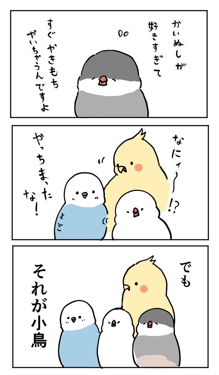 小鳥漫画(クールポコさん大好き) 