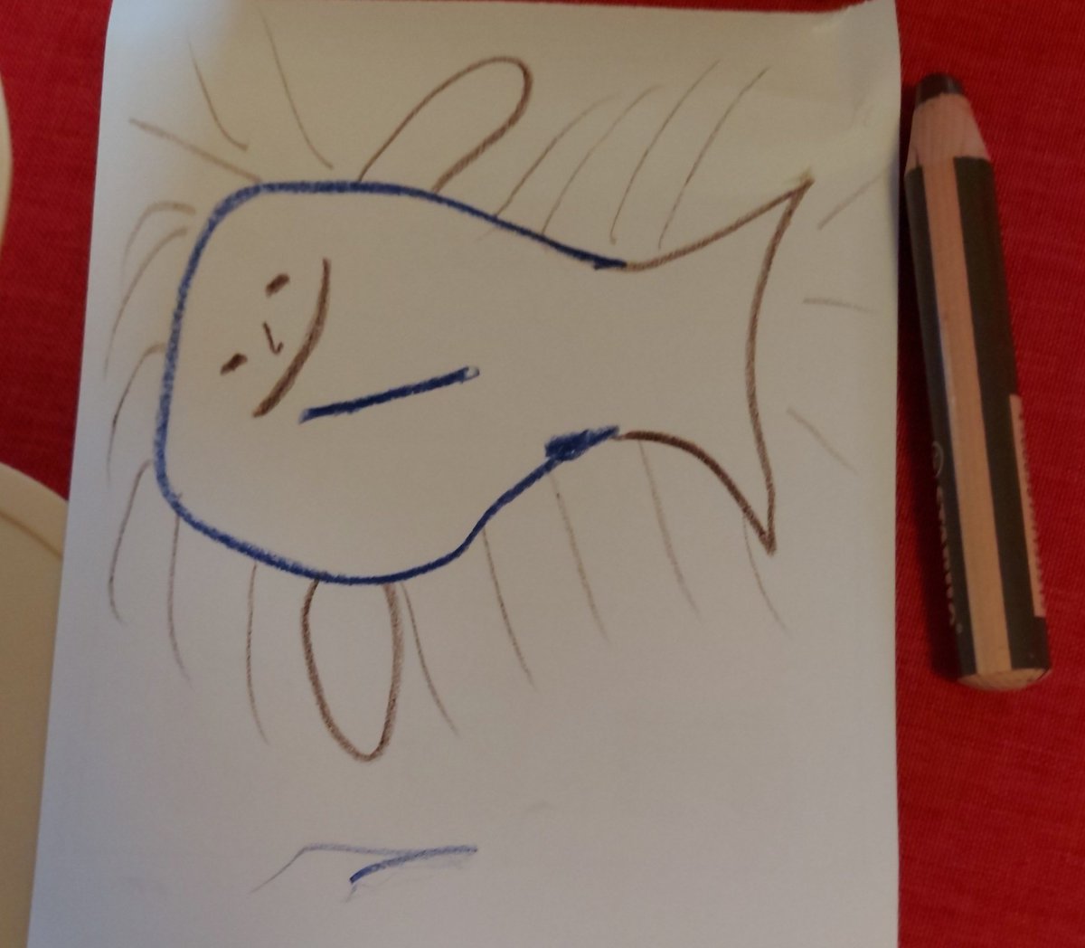 Anna McDougall tweet media