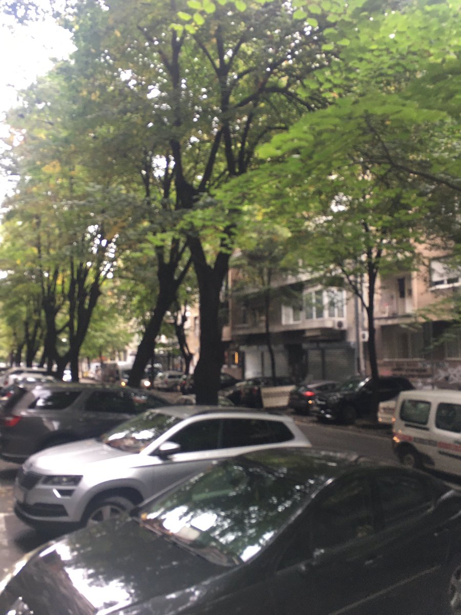 Dr Karl Royle tweet media