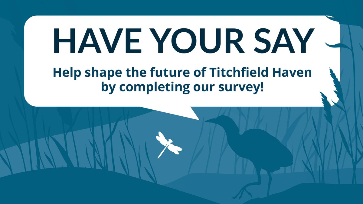 titchfieldhaven's tweet photo. To our #TitchfieldHaven National Nature Reserve community, please help us shape the future of our site by completing our survey. For full details, please visit our website: https://t.co/Wt8mAUdyMT https://t.co/J3Zslbq2M2