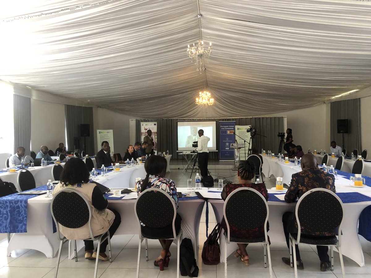 Inclusive Poultry Value Chain Zimbabwe tweet media