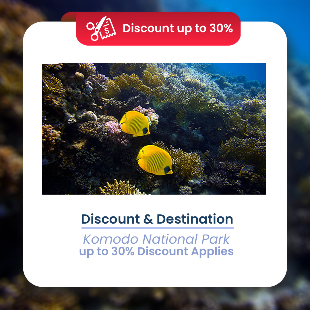 LiveaboardIndo's tweet photo. 🔵SPECIAL OFFER 🔵
-Up to 30% Discount - 🛳 Queenesia📍Komodo National Park
👉 Queenesia Liveaboard
https://t.co/gVHesRIsxP
#liveaboard #Liveaboardindonesia #queenesia #queenesialiveaboard #komodonationalpark #explorekomodo #liveaboard #liveaboardindonesia https://t.co/9b7105Arwq