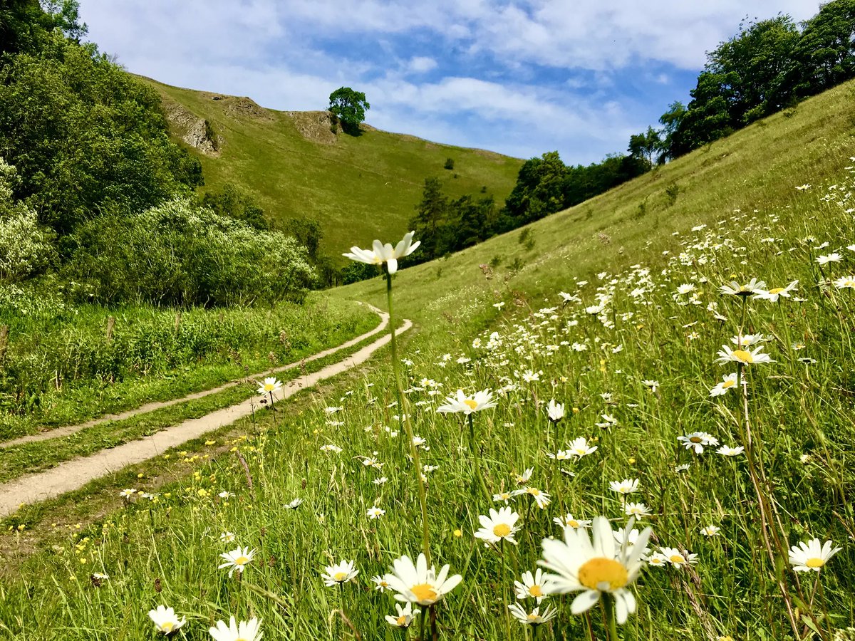Tranquil dales and gritstone escarpments, wildflower meadows and heavenly hilltops – the Peak District truly is one of the most treasured natural landscapes in Britain. Here are 14 of my favourite hikes in the #peakdistrict on <a href="/komoot/">komoot</a> komoot.com/collection/810…