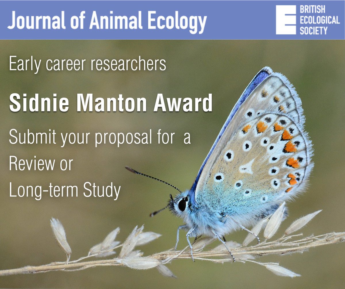 AnimalEcology's tweet photo. Have an idea for a Review or Long-term Studies in Animal Ecology paper? If you're an #EarlyCareerResearcher, submit a brief abstract for feedback from one of our Senior Editors, and a chance to win our next Sidnie Manton Award. Full details: https://t.co/MhYHpMCdcU #ECR https://t.co/L1ZpxYYumq