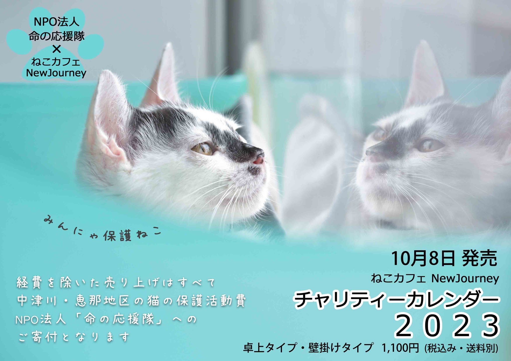 ねこカフェnewjourney Newjourney 914 Twitter