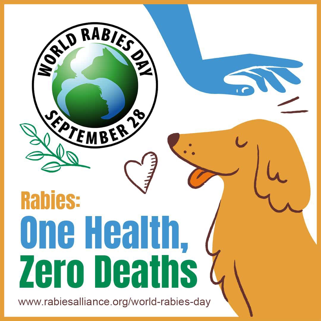 iam_sEd_i's tweet photo. If you have a pet, get it vaccinated. Stay safe people, you can’t recover from this. https://t.co/s6FtcC5XLO