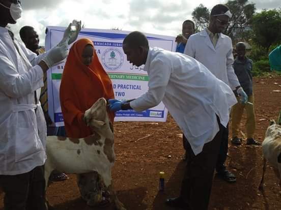 IsackAvv's tweet photo. Veterinary medicine 
#Upperjubbauniversity https://t.co/ncG7HcxSib