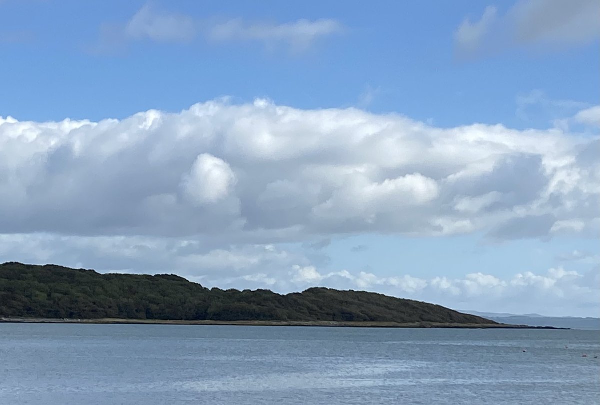 silverhills64's tweet photo. In glorious #Galloway to locate Eggerston Castle, which sits in an #IronAge #Promontary #HillFort with 2 #ramparts and #Ditches it has wonderful sea views. Highly mutilated,sadly #HillfortsWednesday https://t.co/QnxEpqJkoy