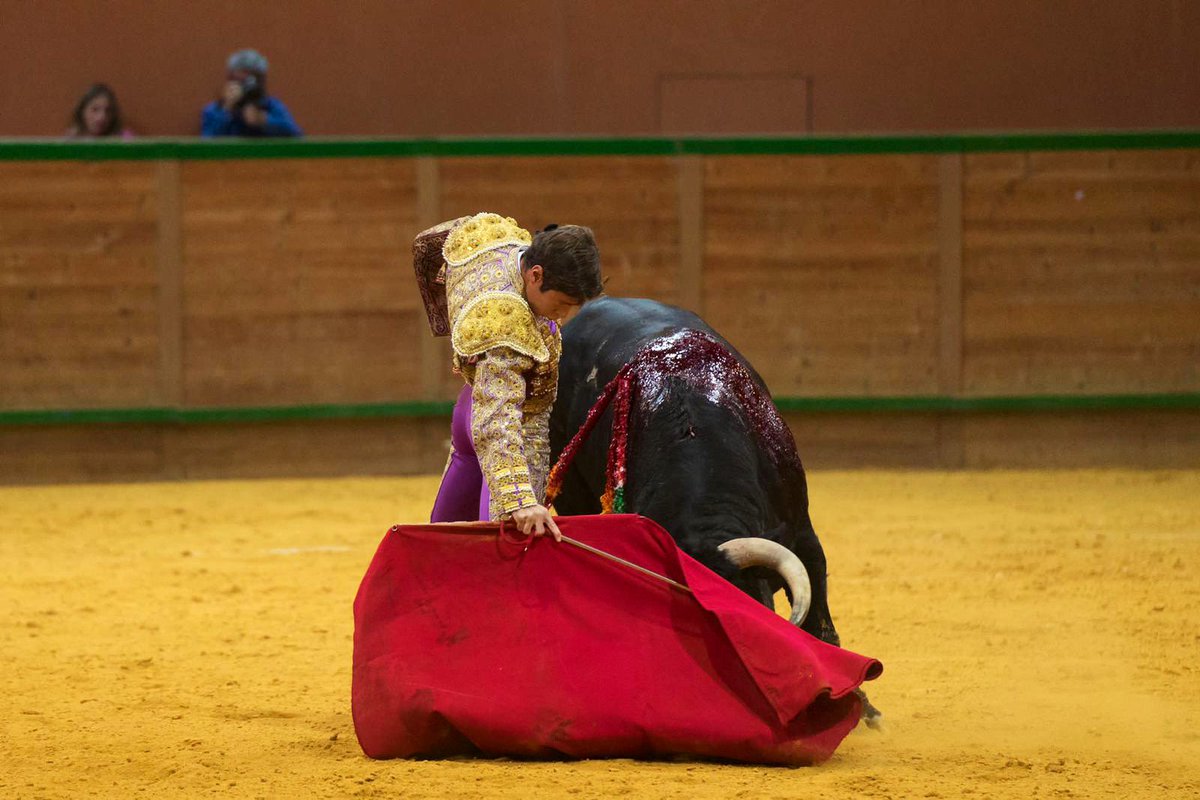 Christian Parejo tweet media