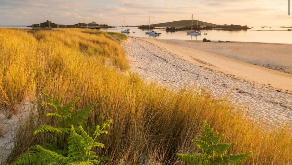 Discover your perfect break closer to home with our autumn blog full of ideas - from where to stay, how to travel here and experiencing something new👉 bit.ly/3BMTAwe #autumn #autumnishere #amberhues #tuesdayvibe #experiences #wildswim #photography #mindfulness #relax