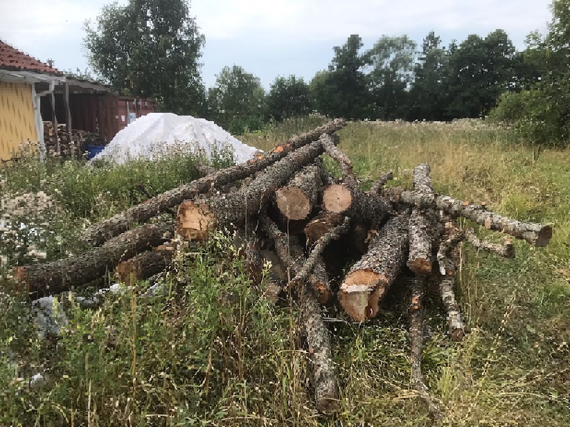 infranerden's tweet photo. @Snaljapen Ska såga upp resten i helgen 😎 https://t.co/k8ey6C0Ume