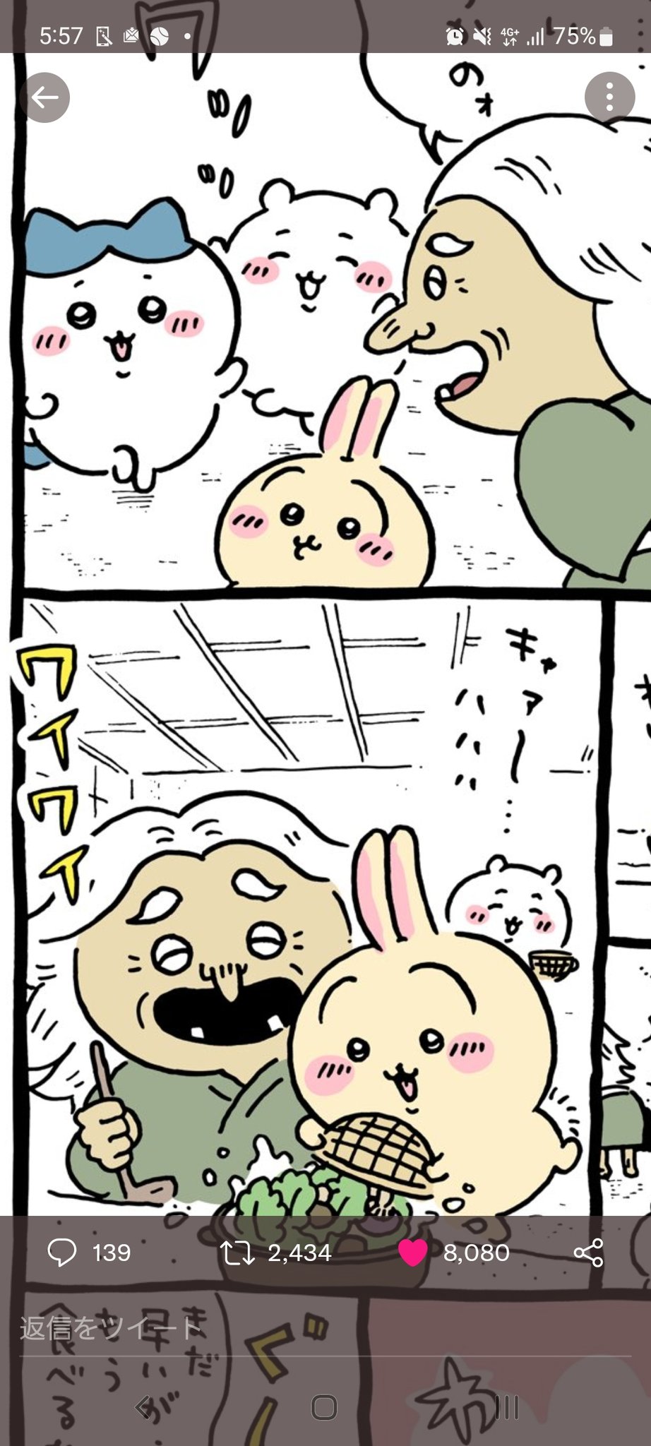 on-twitter-ngnchiikawa