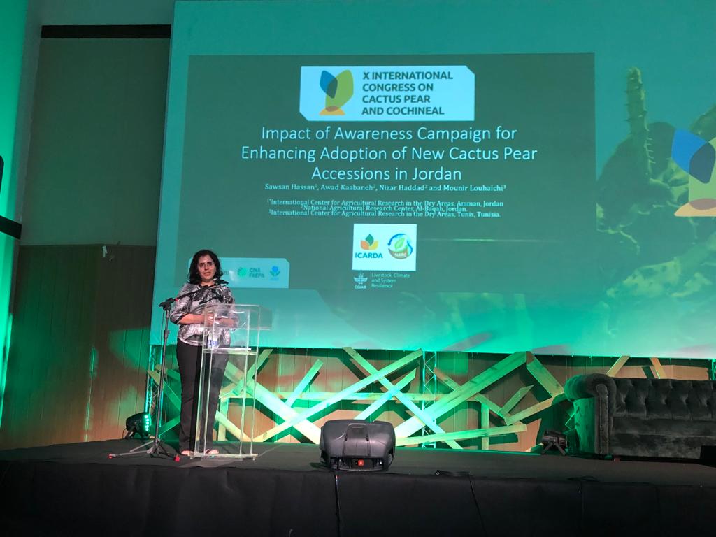 “Cactus pear with its unique traits, service provision &amp; multi-functionality it can help to mitigate the effect of climate change &amp; enhance the livelihood of poor farmers.” said <a href="/SawsanHassan4/">Sawsan Hassan</a> ICARDA Research Associate, Forage Systems 
📍 <a href="/Cactus2022/">Cactus Congress 2022</a> João Pessoa, Paraíba, Brazil
