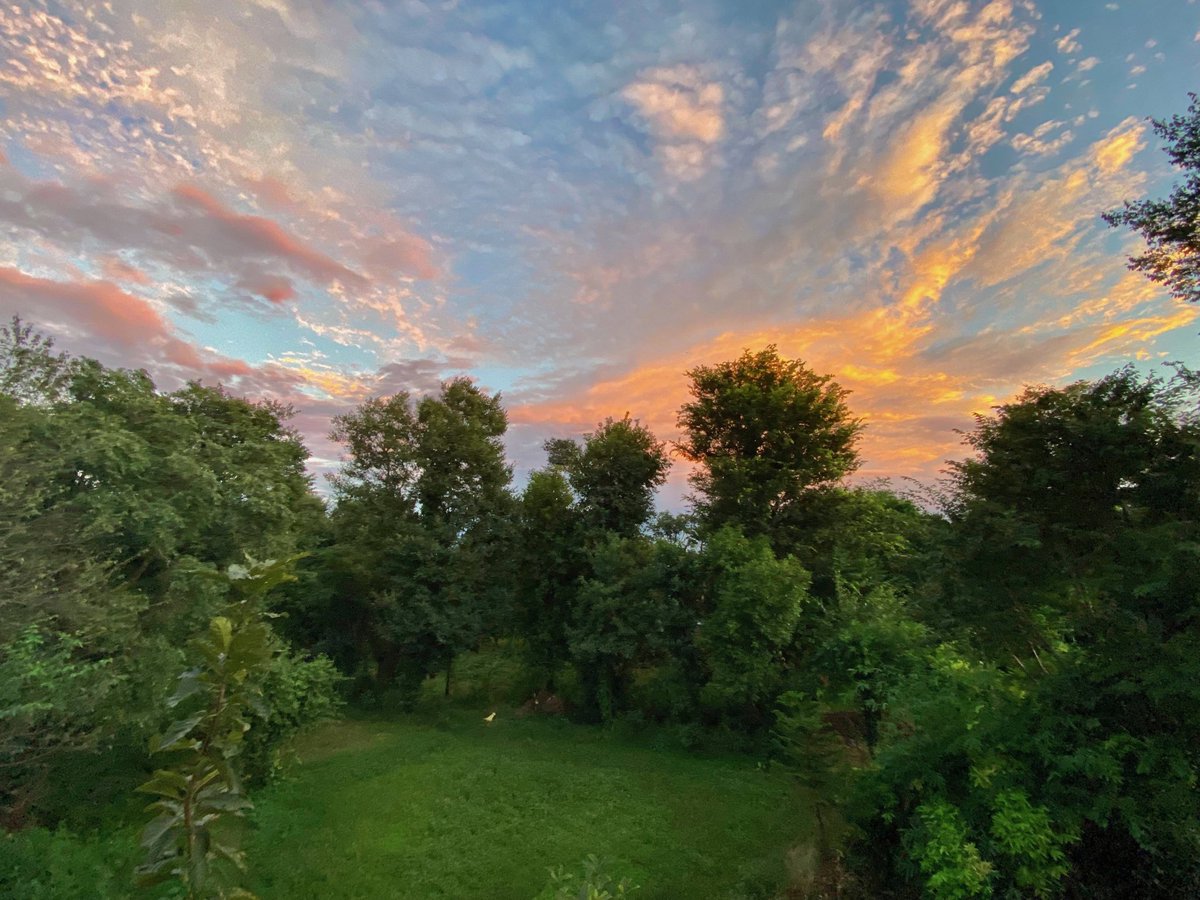 Sunsets are ♥️

#HimachalPradesh #Palampur