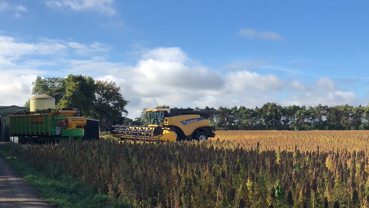 Jo Franklin tweet media