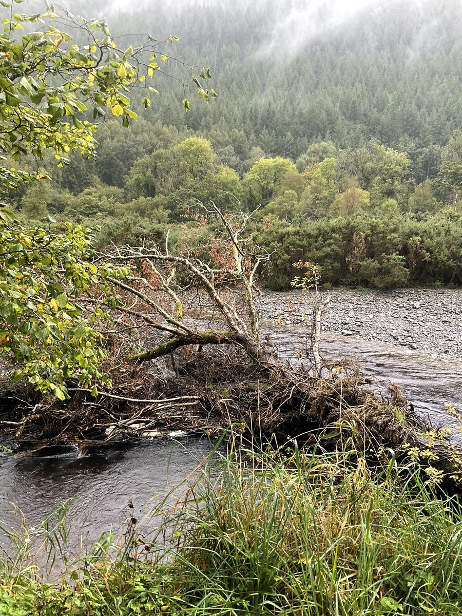 MappingReveals's tweet photo. Another visit by @CUP_HAT_ team @HywelGriffiths to Grogwynion “the white pebbles” repeat photography sites. Lots of interesting scenic views and conversations with locals. Watch out for how you can be part of this! #repeatphotography #mining #rivers #meanders #regenerativetourism https://t.co/QxBpyEk6oj