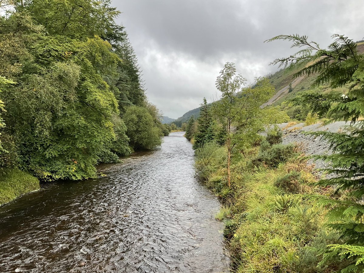 MappingReveals's tweet photo. Another visit by @CUP_HAT_ team @HywelGriffiths to Grogwynion “the white pebbles” repeat photography sites. Lots of interesting scenic views and conversations with locals. Watch out for how you can be part of this! #repeatphotography #mining #rivers #meanders #regenerativetourism https://t.co/QxBpyEk6oj