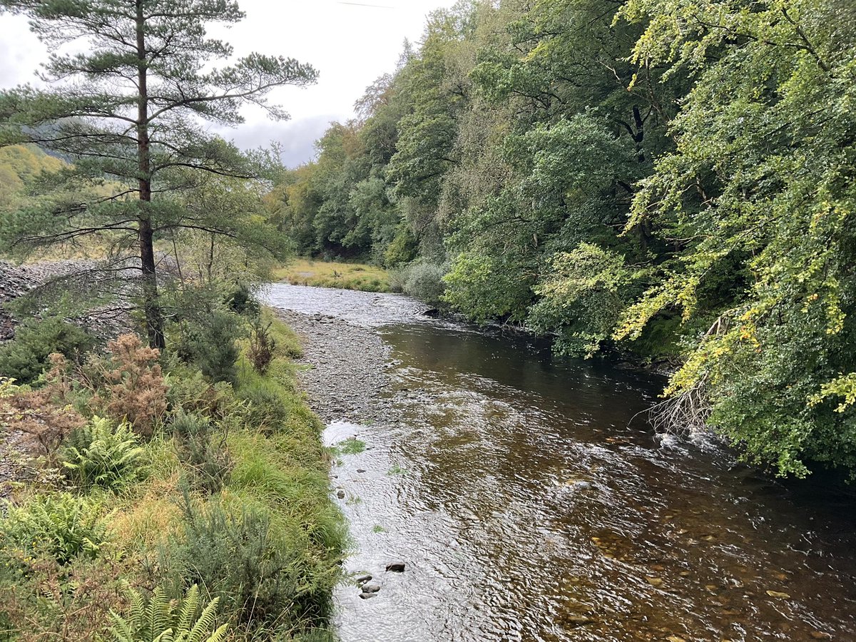 MappingReveals's tweet photo. Another visit by @CUP_HAT_ team @HywelGriffiths to Grogwynion “the white pebbles” repeat photography sites. Lots of interesting scenic views and conversations with locals. Watch out for how you can be part of this! #repeatphotography #mining #rivers #meanders #regenerativetourism https://t.co/QxBpyEk6oj