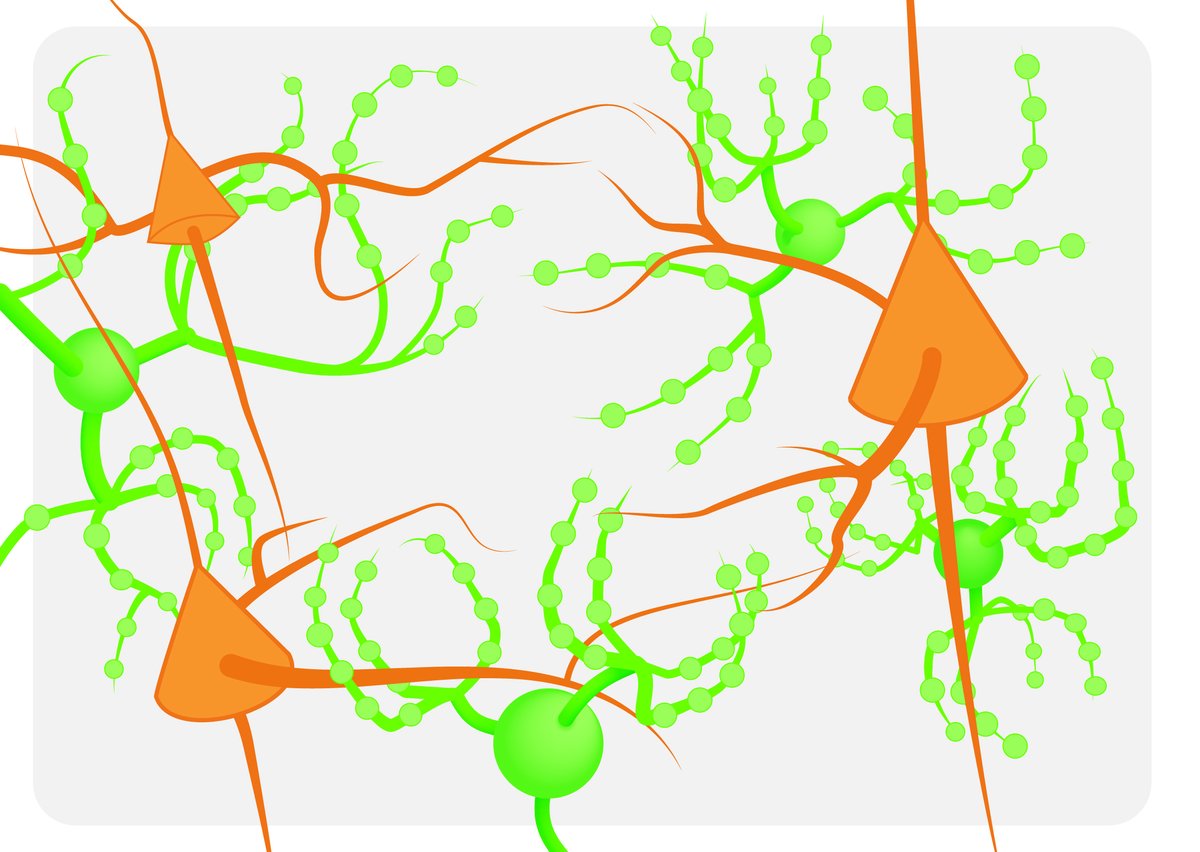 Naoum Issa tweet media
