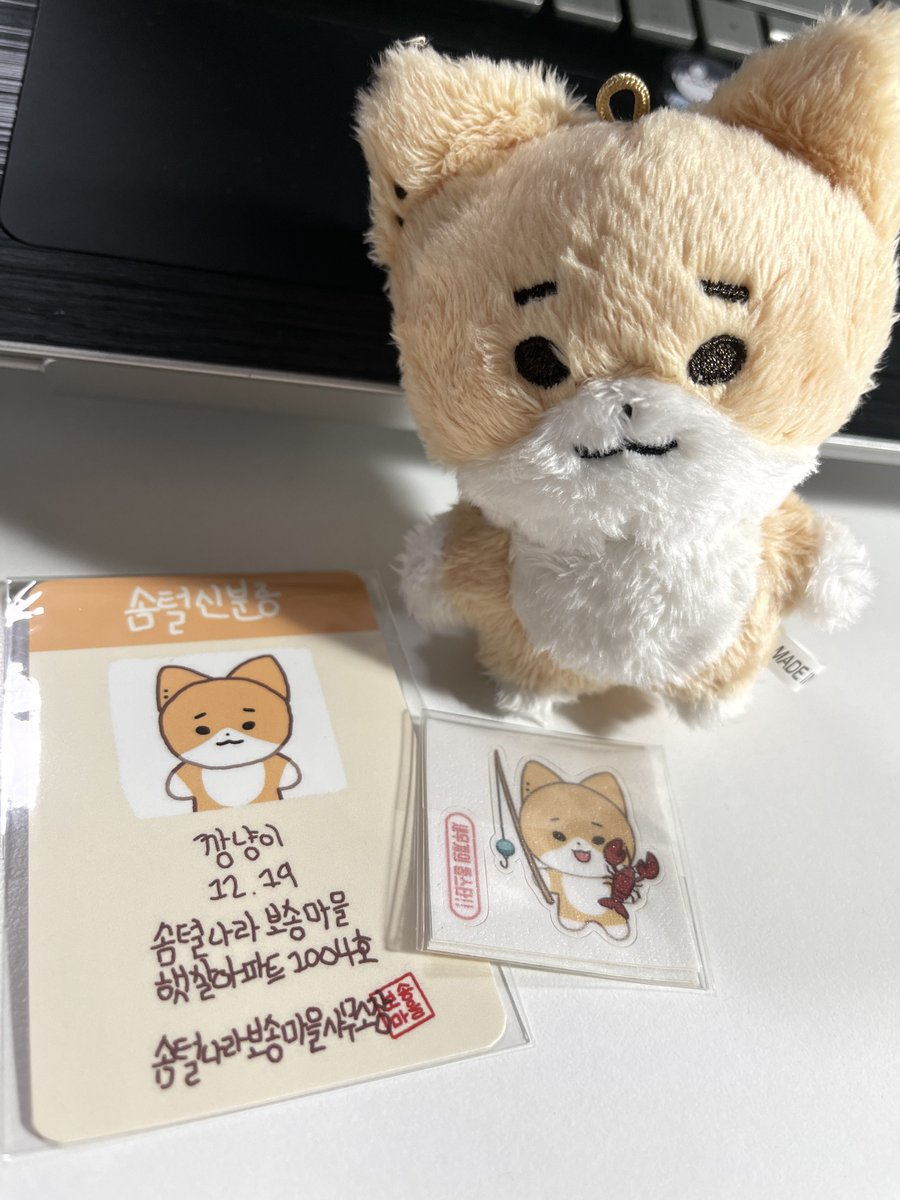 오마이갓 깡냥이
#오늘은_깡꼼자랑으로_가자아아아