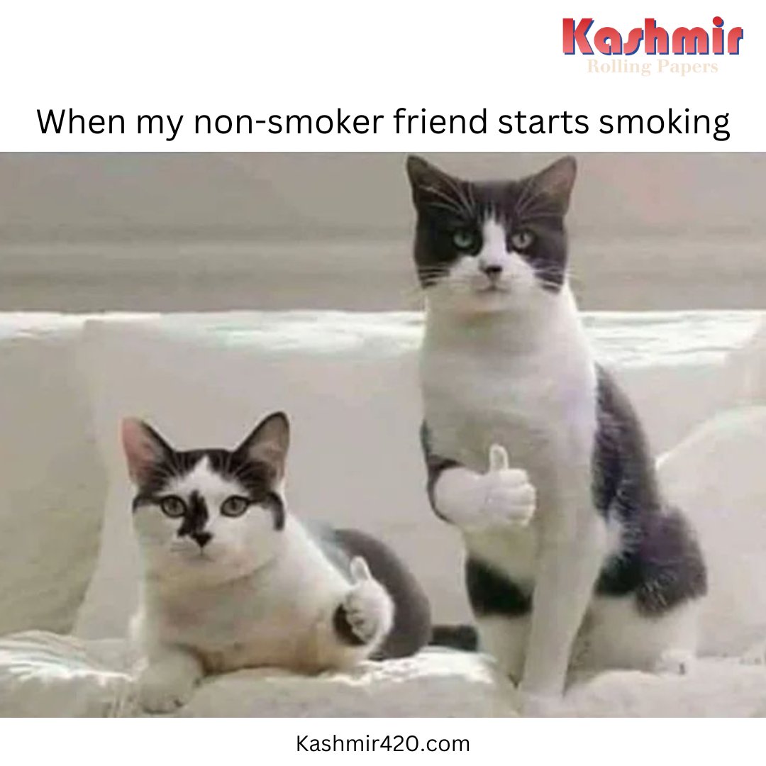 Kashmir_420's tweet photo. Thumbs up!
.
Follow Us: @Kashmir_420
.
.
#weedmemes #wednesdaymood #wakenbake #cannabisfacts #weedfacts #Mondayvibes #MondayMotivation #weedporn #cannabis #weedlife #cannabiscommunity #weedstagram #memes #marijuana #weedgirls #stoner #weedhumour https://t.co/vgEKErR4kd