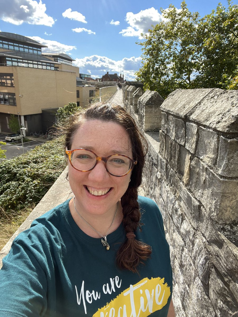 karenlreyburn's tweet photo. Taking a breath of fresh air (or two or three) walking the city walls and popping into a fave tea shop #york #restpillar https://t.co/xgNpjSnSuQ