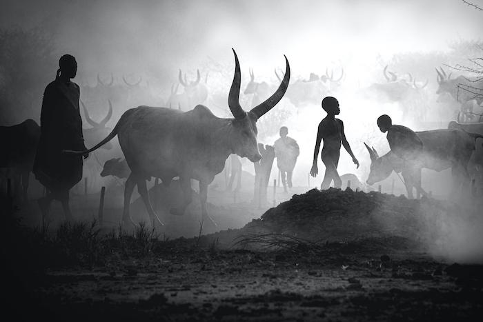 JeffreyRoberts3's tweet photo. #ProPhotoDaily @AmericanPhotog Open 2022:
Svetlin Yosifov is the Winner of the @SanDisk #ShareYourWorld Contest https://t.co/c1113O7kPR
Congratulations to @IvanovSvetlin @Zeyarlynn and Alain Schroeder. Also thanks to @SanDisk Extreme team judges @NitishWaila & Fred Pompermayer https://t.co/nkgJiFy0n8