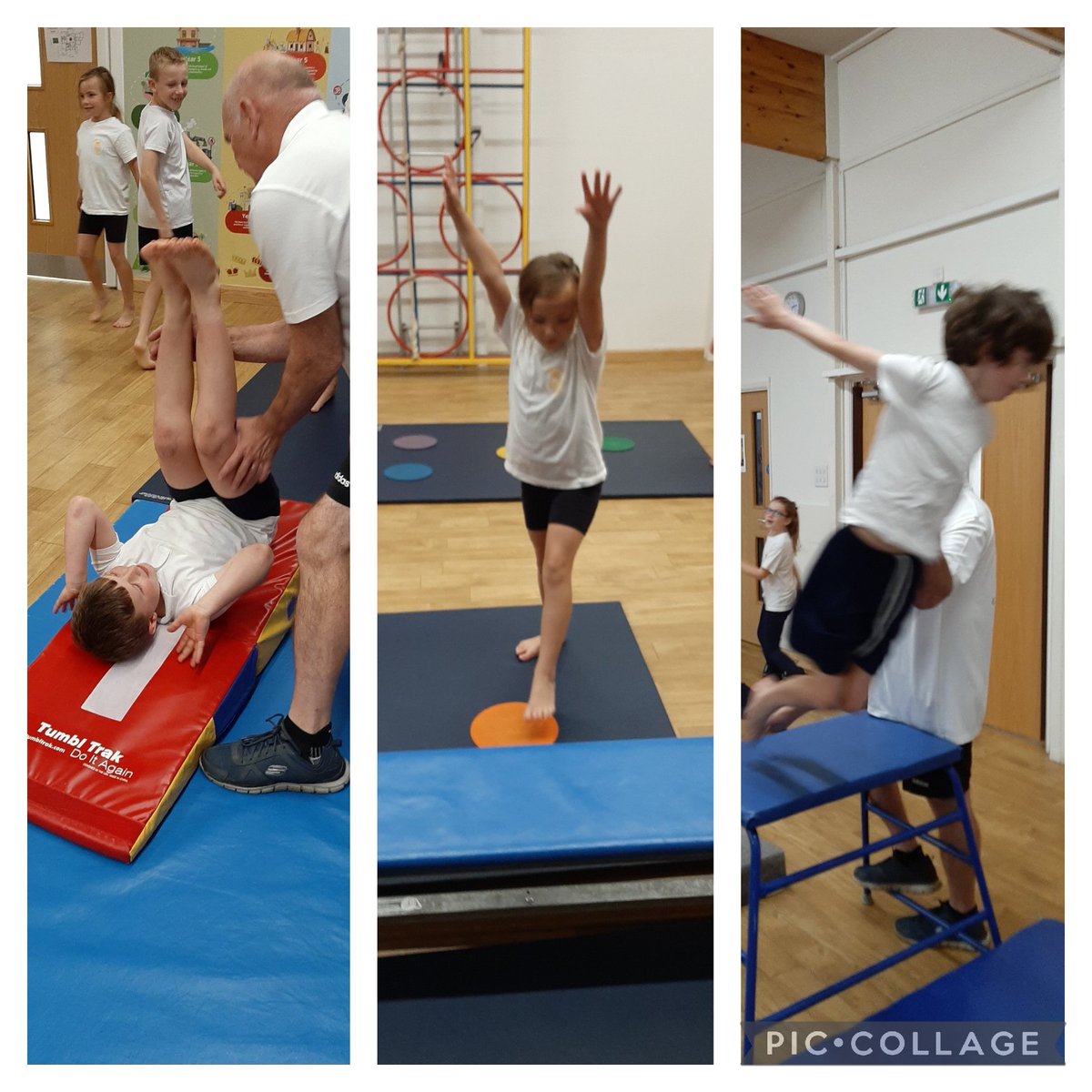 Mr Newton tweet media