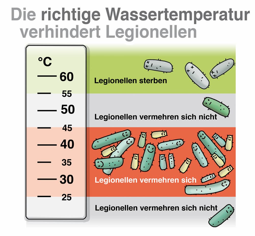 Legionellen sind gramnegative Bakterien, die ihr euch einfangen könnte, wenn man sie als Aerosol einatmet, wie z.B. beim Duschen. Die machen eine doofe Lungenentzündung, wo selbst unter Therapie noch 5-10% versterben. Stellt euren Wasserspeicher nicht unter 50 °C, besser 60°C.