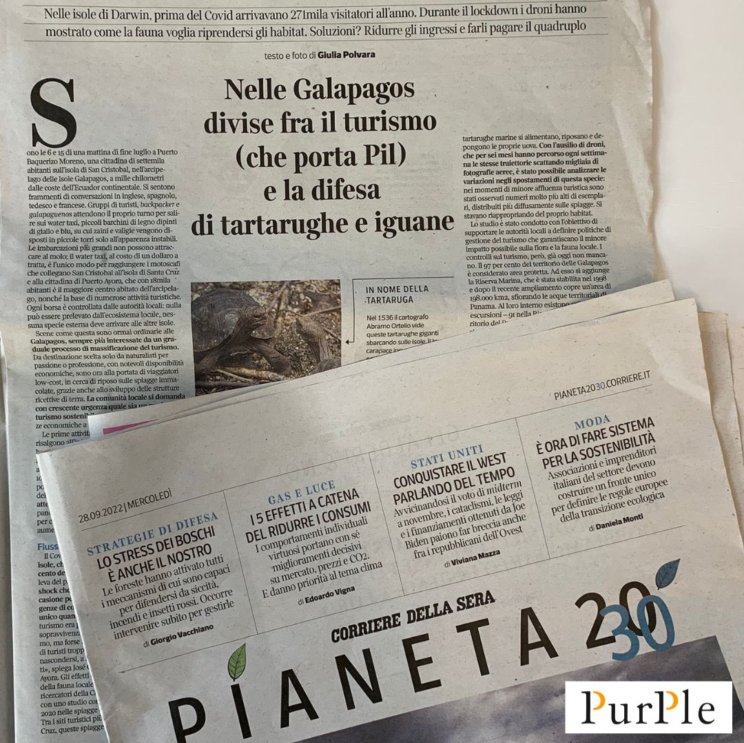 PurPleESG tweet media