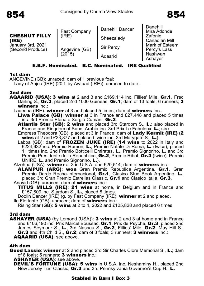 StephenKeogh_5's tweet photo. ✨ Lot 854 Fast Company X Angevine✨ Not to be missed! Selling @Goffs1866 with the update of Rising Star winning a Stakes race at Haydock. @DarleyStallions https://t.co/z5u4DucLle
