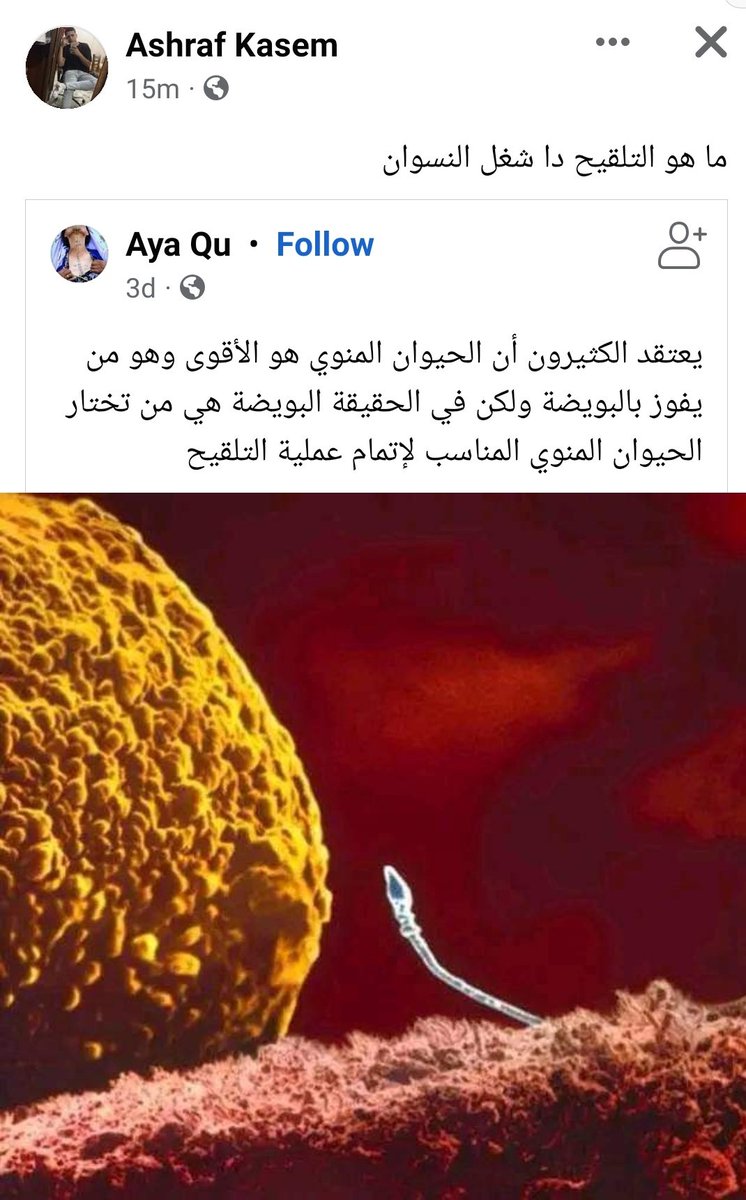 الضحك يا حكومة (@7komade7k) on Twitter photo 