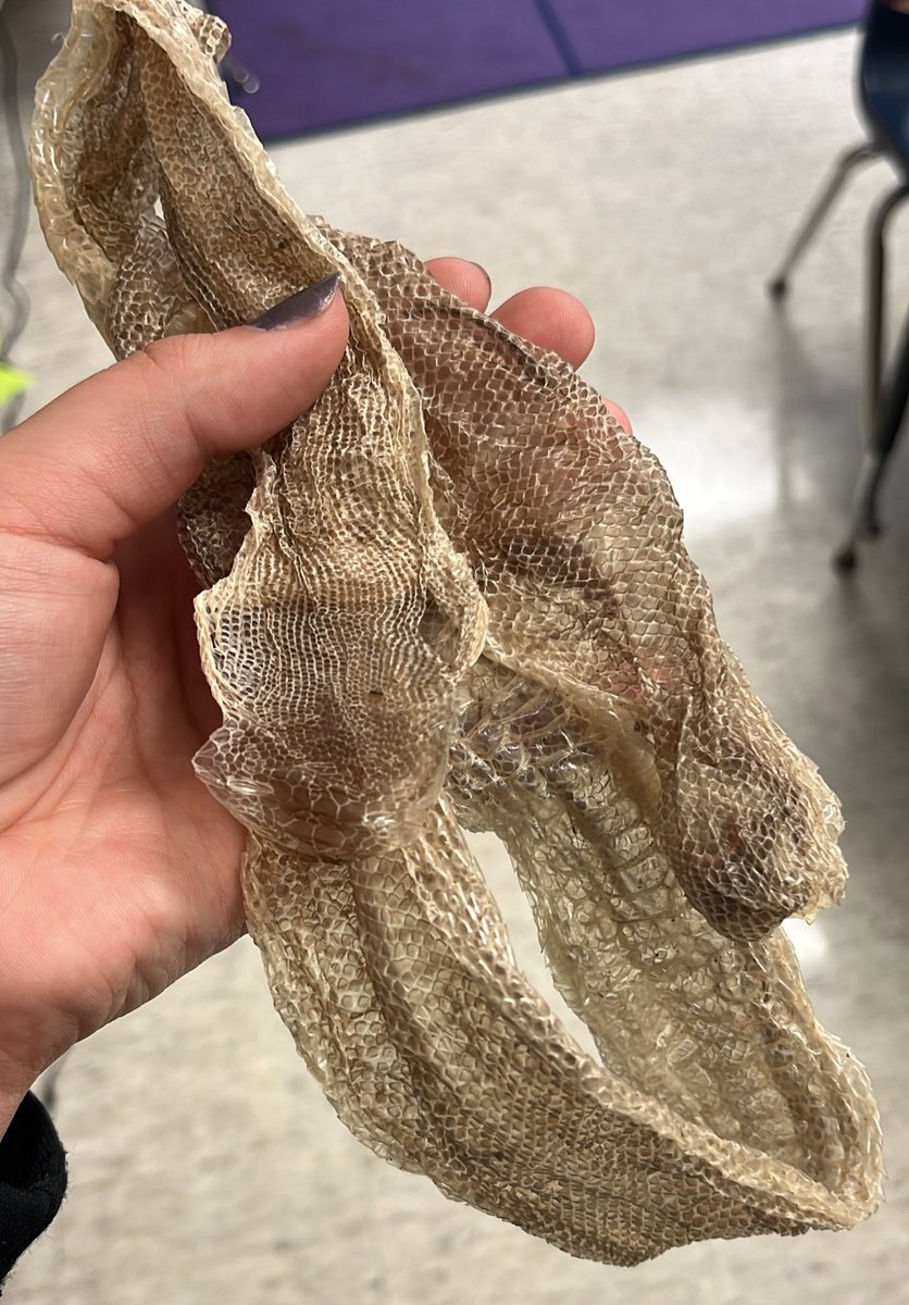 Miss.Woodruff tweet media