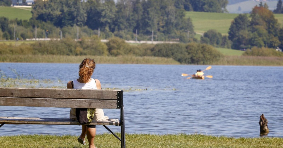 Blaualgen trüben den Wallersee: Schwimmen ist nicht ratsam sn.at/salzburg/chron…