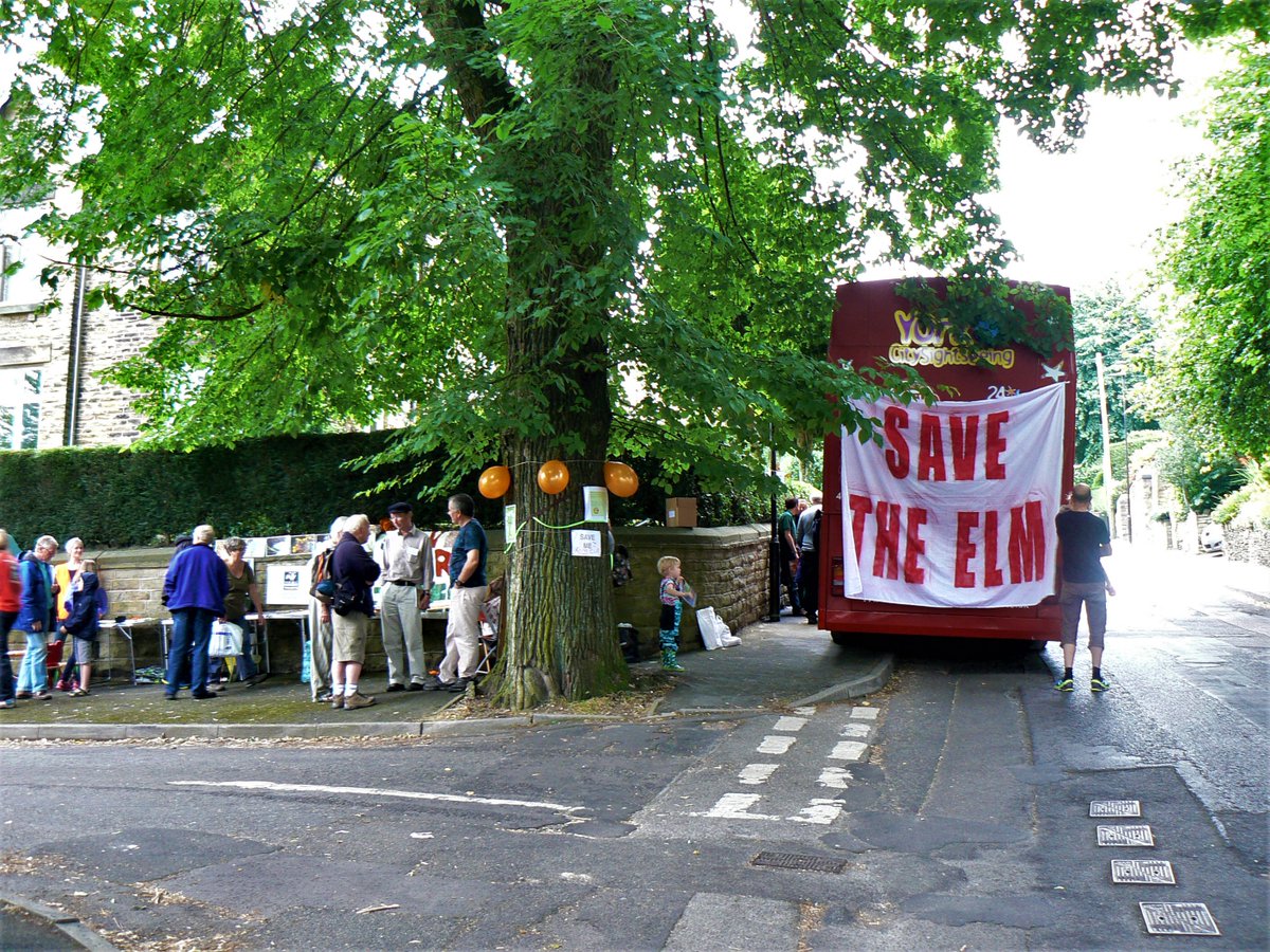 Sheffield Street Trees inquiry - recordings now available: You can find a link to it here - sheffield.public-i.tv/core/portal/we… sheffield.gov.uk/your-city-coun… - This is along with recordings of the other hearings held so far & details of the other upcoming hearings.