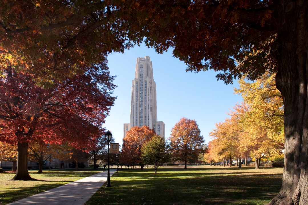 PantherCentral's tweet photo. No one. Not one single person:
Us: 🥰💙✨Cathy✨💛 😍
#h2p #pitt #cathedraloflearning https://t.co/ODyFnkWt5S