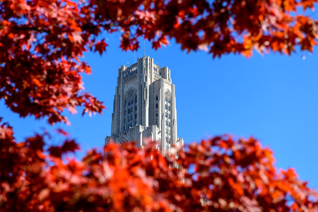 PantherCentral's tweet photo. No one. Not one single person:
Us: 🥰💙✨Cathy✨💛 😍
#h2p #pitt #cathedraloflearning https://t.co/ODyFnkWt5S