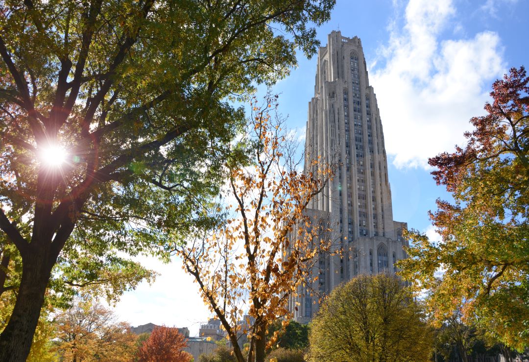 PantherCentral's tweet photo. No one. Not one single person:
Us: 🥰💙✨Cathy✨💛 😍
#h2p #pitt #cathedraloflearning https://t.co/ODyFnkWt5S