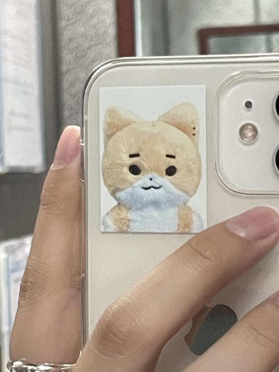 #오늘은_깡꼼자랑으로_가자아아아

깡냥이 Sooooo cute 😽✨💖
신분증도 너무 귀엽고 증명사진도 귀여워요