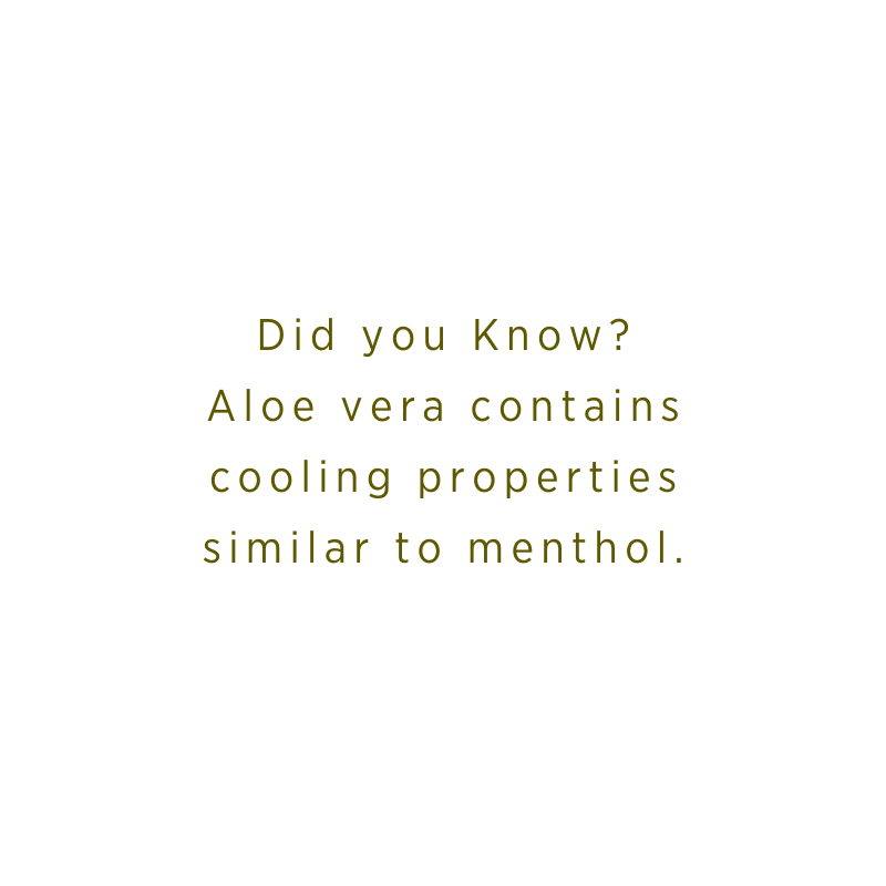 This is perhaps the plant's best-known quality. Gently apply the gel to soothe and heal sunburns, minor kitchen burns, scrapes, and itchy insect bites.

#aloeveragel #skincareisselfcare #careforyourskin #healyourskin