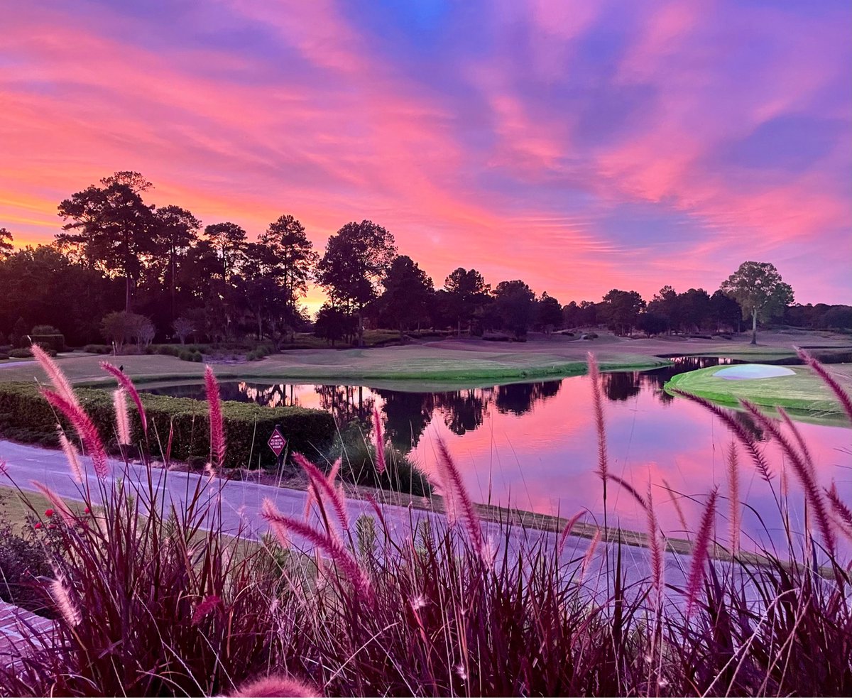 BerkeleyHall_SC's tweet photo. Sunset from the Verandah, what a gorgeous sight!
{captured by Noreen Brosnan last night!} #sunset  #BerkeleyExperience https://t.co/vt2JMDnTKJ