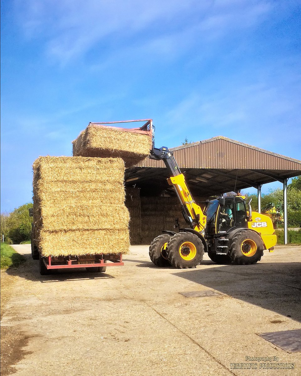 StrattonDorset's tweet photo. Down on the farm. Photo: Terryific Productions https://t.co/tpB9k2iQu1